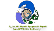 Member-Photo